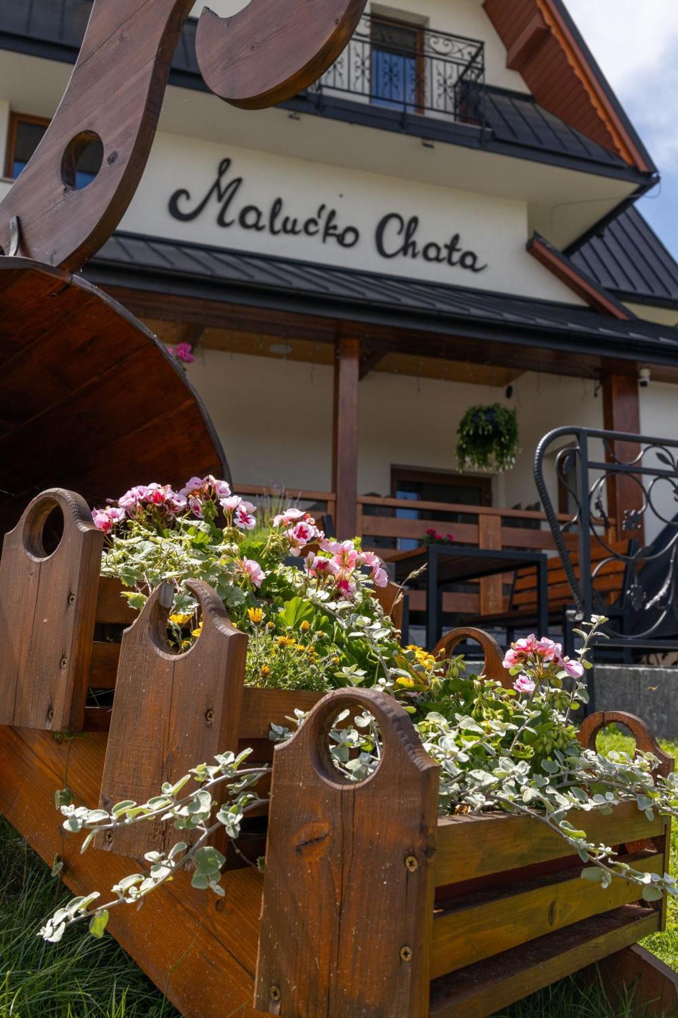 „Malucko Chata” Zakopane Buitenkant foto